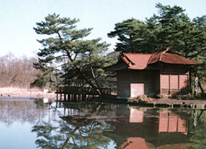 練馬の風土　三宝寺池